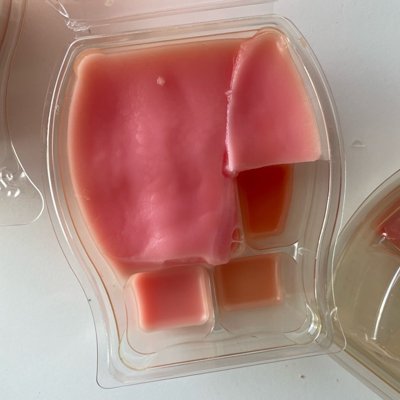 Scentsy used aloe water and cucumber, pumpkin roll, happy birthday, cedar cider - Picture 11 of 14